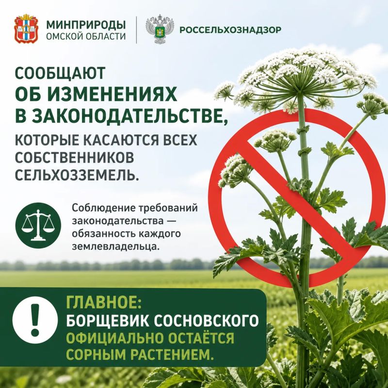 Борщевик Сосновского — ответственность правообладателей земельных участков