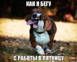 Когда пятница выглядит как финишная прямая