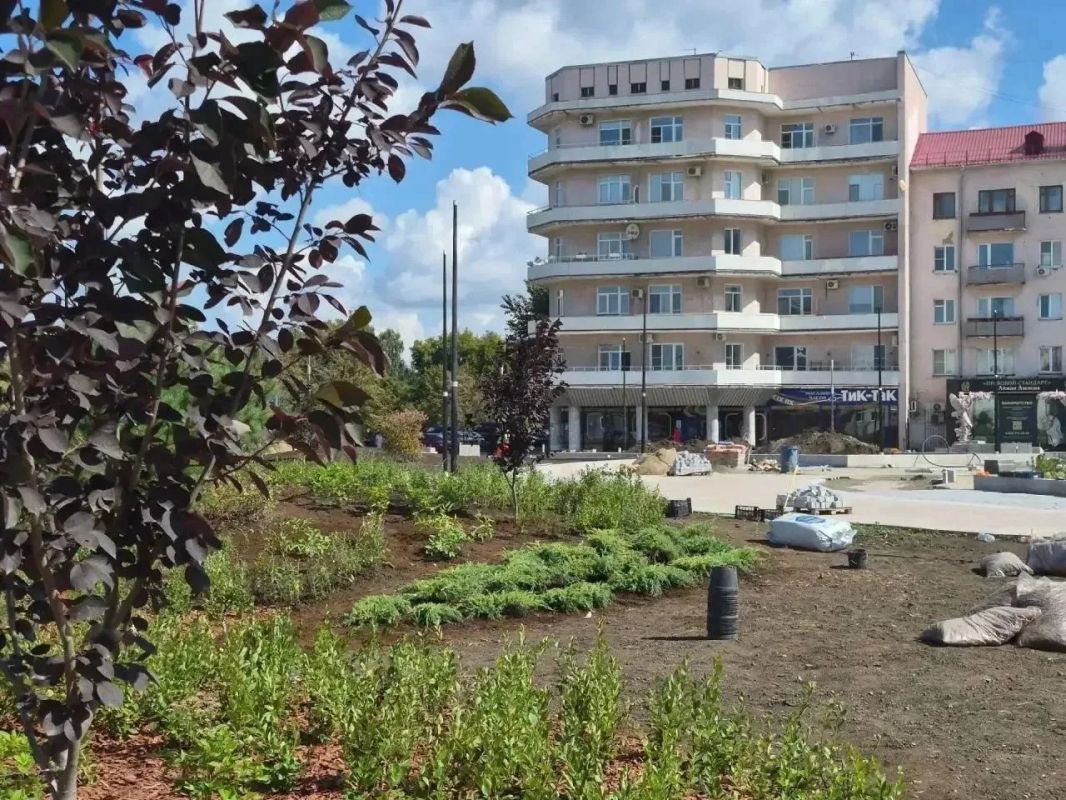 В Омске продолжают озеленять площадь Бухгольца В Омске продолжают озеленять площадь Бухгольца