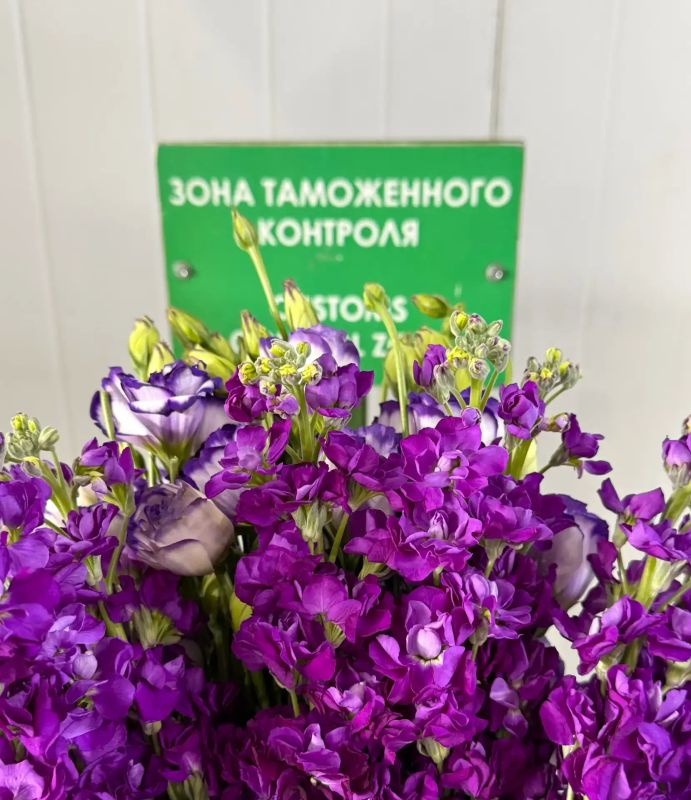 Сибирские таможенники оформили более 1,2 тыс Сибирские таможенники оформили более 1,2 тыс