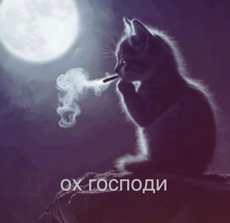 Дмитрий Стешин: Криптобандеровцы совсем изоврались: