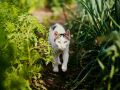 ��� �������� ������ �� �������� � ������� ������: ������� � ����������� �������