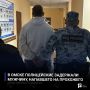 В Омске полицейские задержали мужчину, напавшего на прохожего