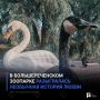 В Большереченском зоопарке разыгралась необычная история любви