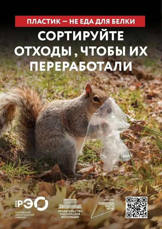 Мусор в лесу — это не просто некрасиво Мусор в лесу — это не просто некрасиво