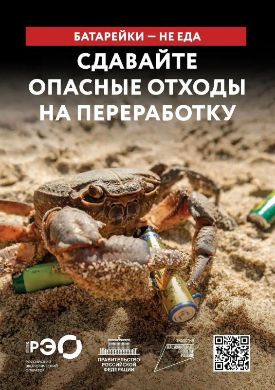 Мусор в лесу — это не просто некрасиво Мусор в лесу — это не просто некрасиво