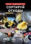 Мусор в лесу — это не просто некрасиво