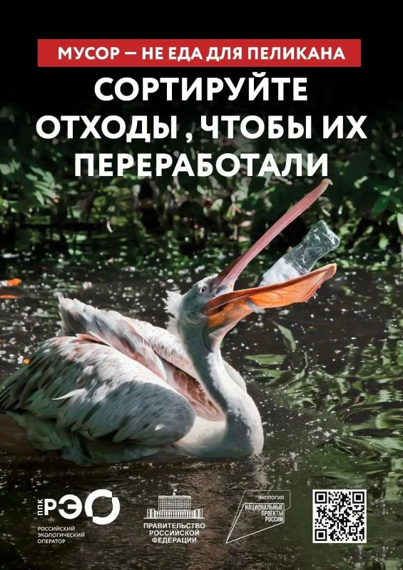 Мусор в лесу — это не просто некрасиво Мусор в лесу — это не просто некрасиво