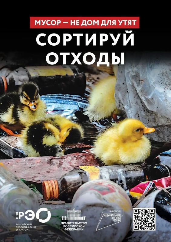 Мусор в лесу — это не просто некрасиво