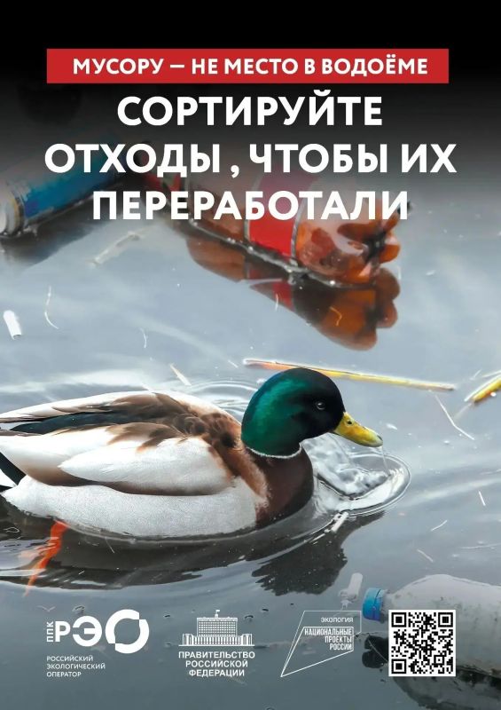 Мусор в лесу — это не просто некрасиво Мусор в лесу — это не просто некрасиво