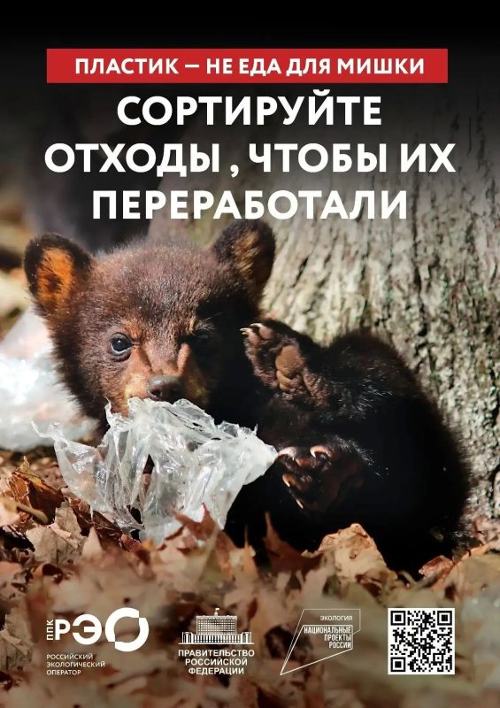Мусор в лесу — это не просто некрасиво Мусор в лесу — это не просто некрасиво