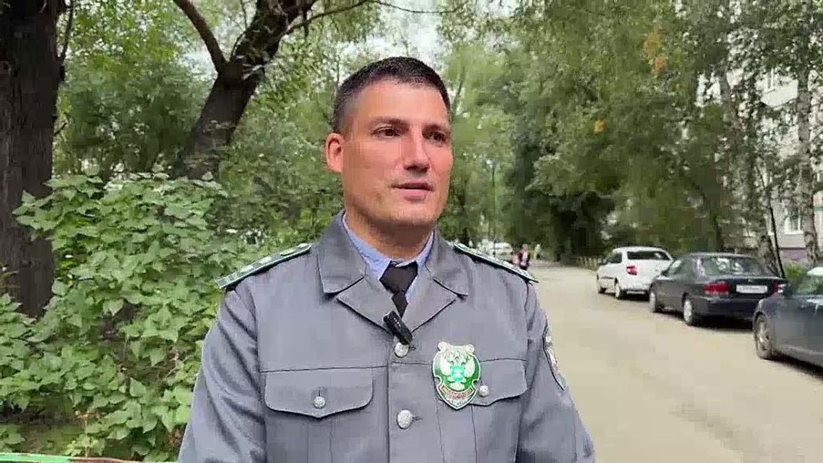 В Омске был выявлен первый случай гибели собаки, предположительно, после вакцинации препаратом "Мультикан"