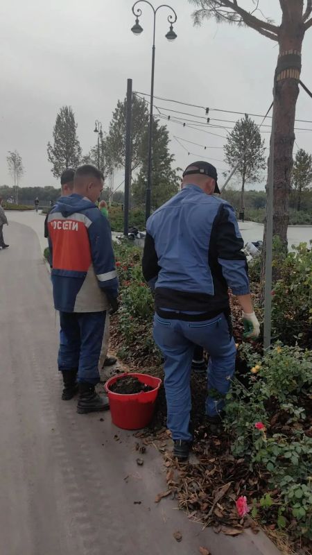 С набережной Омской крепости убрали растения, которые вчера вытоптали некоторые посетители светомузыкального шоу С набережной Омской крепости убрали растения, которые вчера вытоптали некоторые посетители светомузыкального шоу