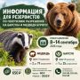 Информация для резервистов жеребьёвки на добычу барсука и бурого медведя