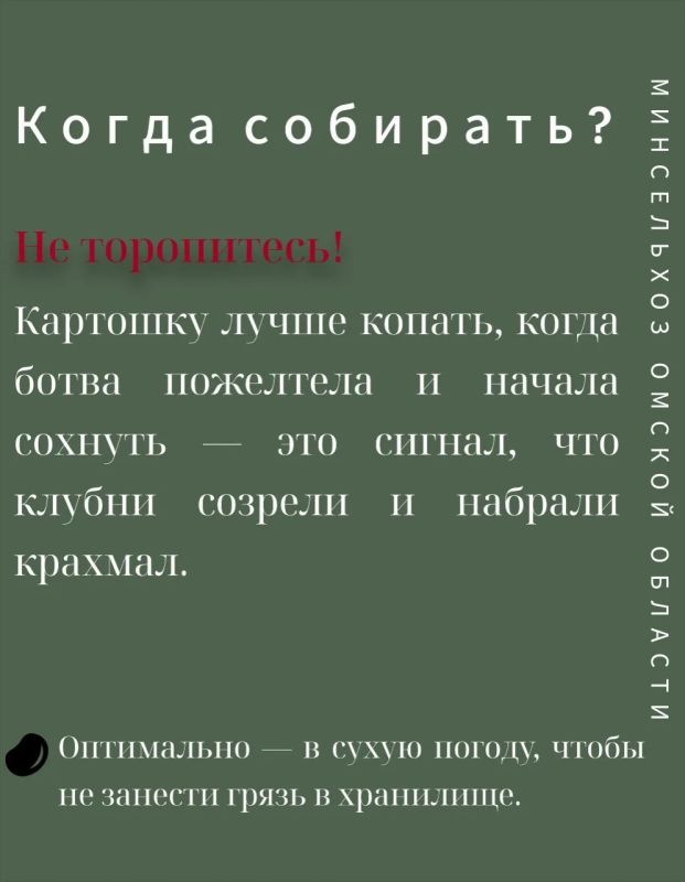 Советы по сбору и хранению картофеля от Министерства сельского хозяйства, пищевой и перерабатывающей промышленности Омской области Советы по сбору и хранению картофеля от Министерства сельского хозяйства, пищевой и перерабатывающей промышленности Омской области