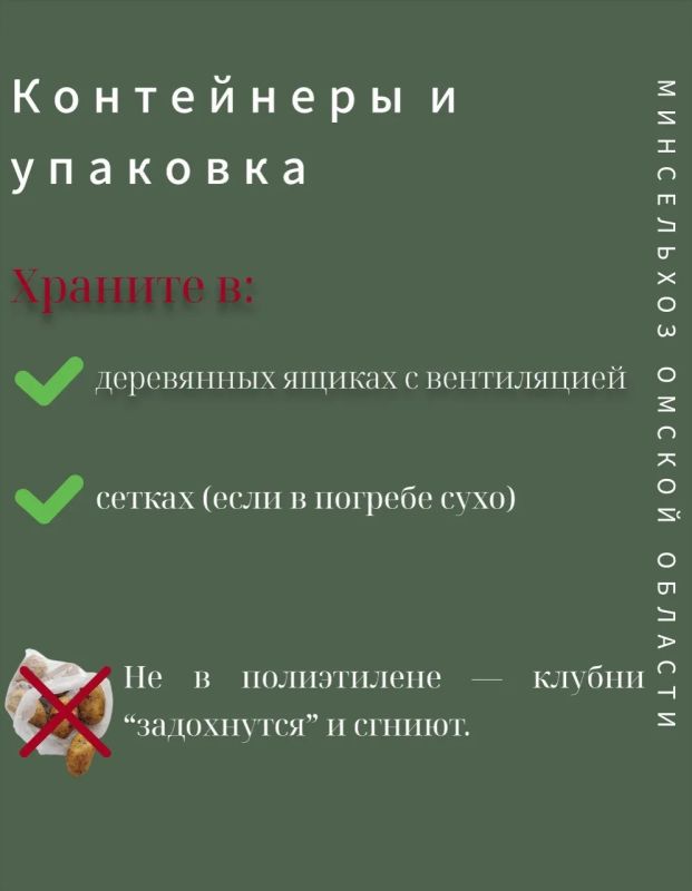 Советы по сбору и хранению картофеля от Министерства сельского хозяйства, пищевой и перерабатывающей промышленности Омской области Советы по сбору и хранению картофеля от Министерства сельского хозяйства, пищевой и перерабатывающей промышленности Омской области