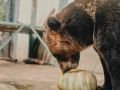 В Омск вернулось лето. . По прогнозу, в городе жаркая погода останется до конца недели
