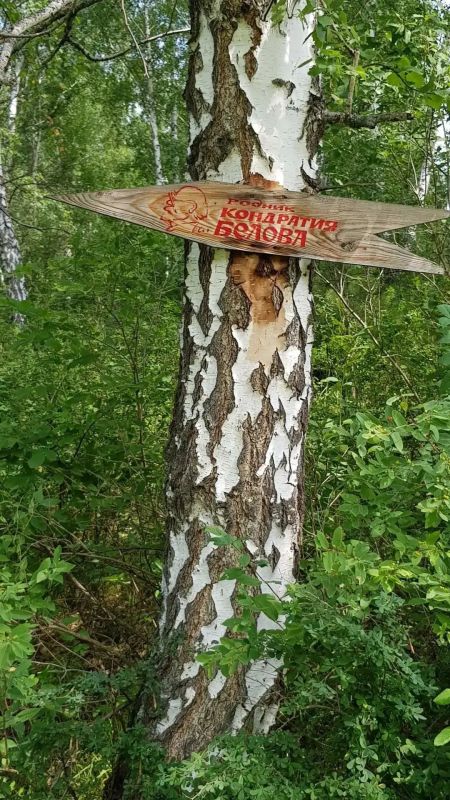 В селе Пача Кемеровской области, где прошли детские и юношеские годы знаменитого сибирского живописца Кондратия Петровича Белова, начинается фестиваль живой истории и национальных сельских традиций «Пачинская тыква» В селе Пача Кемеровской области, где прошли детские и юношеские годы знаменитого сибирского живописца Кондратия Петровича Белова, начинается фестиваль живой истории и национальных сельских традиций «Пачинская тыква»
