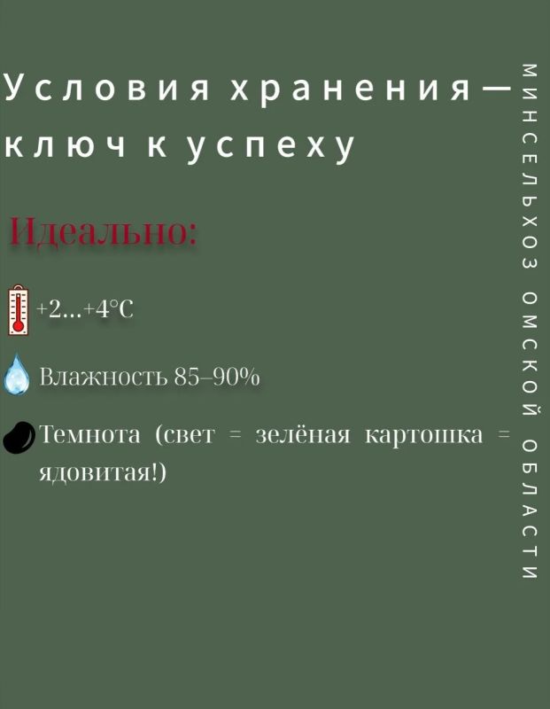Советы по сбору и хранению картофеля от Министерства сельского хозяйства, пищевой и перерабатывающей промышленности Омской области Советы по сбору и хранению картофеля от Министерства сельского хозяйства, пищевой и перерабатывающей промышленности Омской области