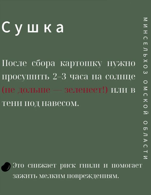 Советы по сбору и хранению картофеля от Министерства сельского хозяйства, пищевой и перерабатывающей промышленности Омской области Советы по сбору и хранению картофеля от Министерства сельского хозяйства, пищевой и перерабатывающей промышленности Омской области