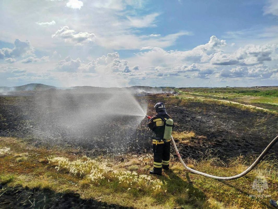 В Омской области выросло число возгораний травы и мусора