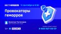 «Провокаторы геморроя» — тема нового выпуска программы «Вести Здоровье»