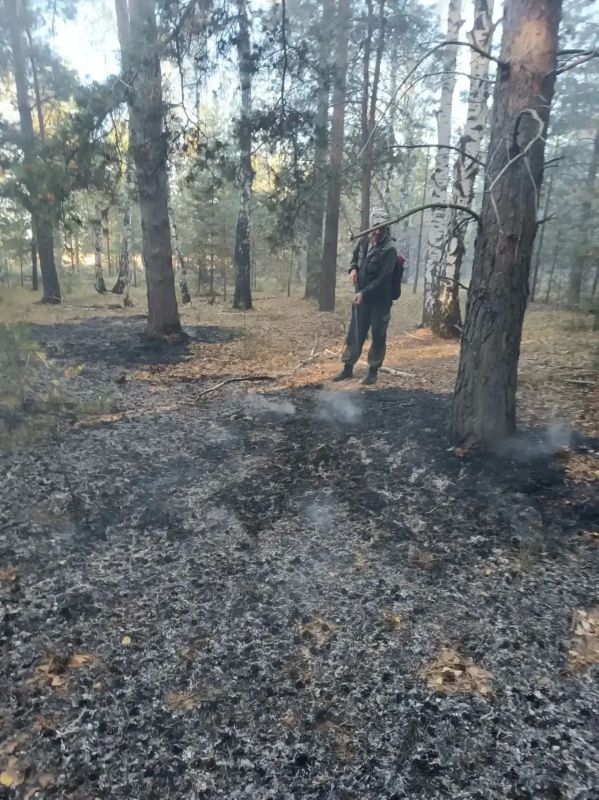 Охотники помогли вовремя обнаружить пожар в Большереченском районе Охотники помогли вовремя обнаружить пожар в Большереченском районе