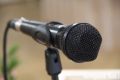 Певица Света выступит в Омске с бесплатным концертом на Зеленом острове (12+)