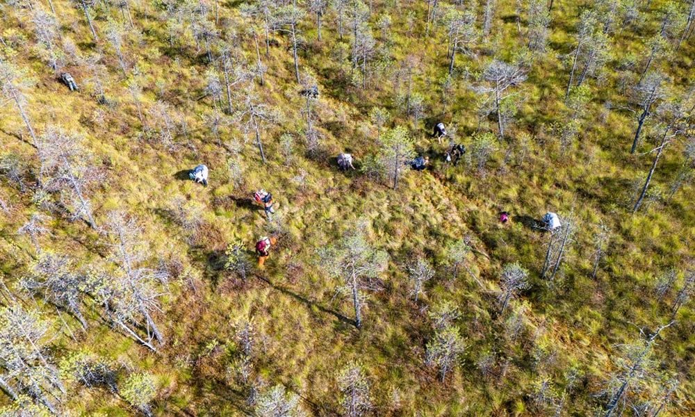 В Омской области набирает популярность болотинг В Омской области набирает популярность болотинг