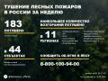 По данным Авиалесоохраны, подведомственной организации Рослесхоза, за прошедшую неделю потушено 183 лесных пожара в 31 регионе России