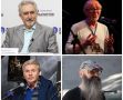 Календарь Культурной столицы