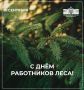 Уважаемые работники лесного хозяйства!