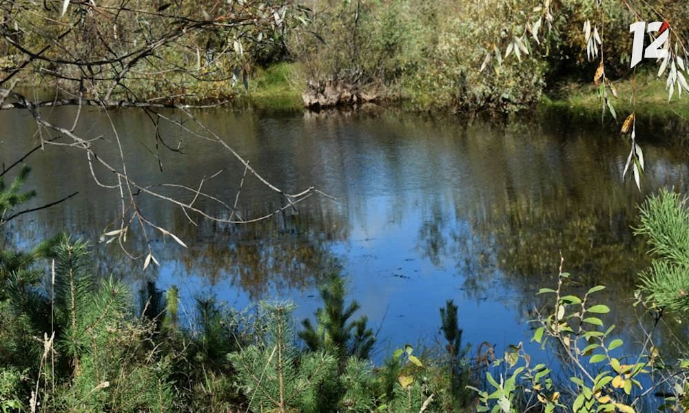 Где омичи могут попробовать целебную пихтовую живицу прямо из ствола и побывать на поляне Аллы Пугачевой? Где омичи могут попробовать целебную пихтовую живицу прямо из ствола и побывать на поляне Аллы Пугачевой?
