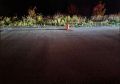 Вчера в вечернее время в ОМВД России по Любинскому району поступило сообщение о ДТП с летальным исходом
