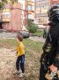 Юный омич застрял на дереве, спасая кота
