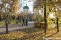 Синоптики предупредили о ночных заморозках