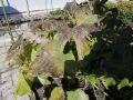 � ����� ������ ��������� ���������