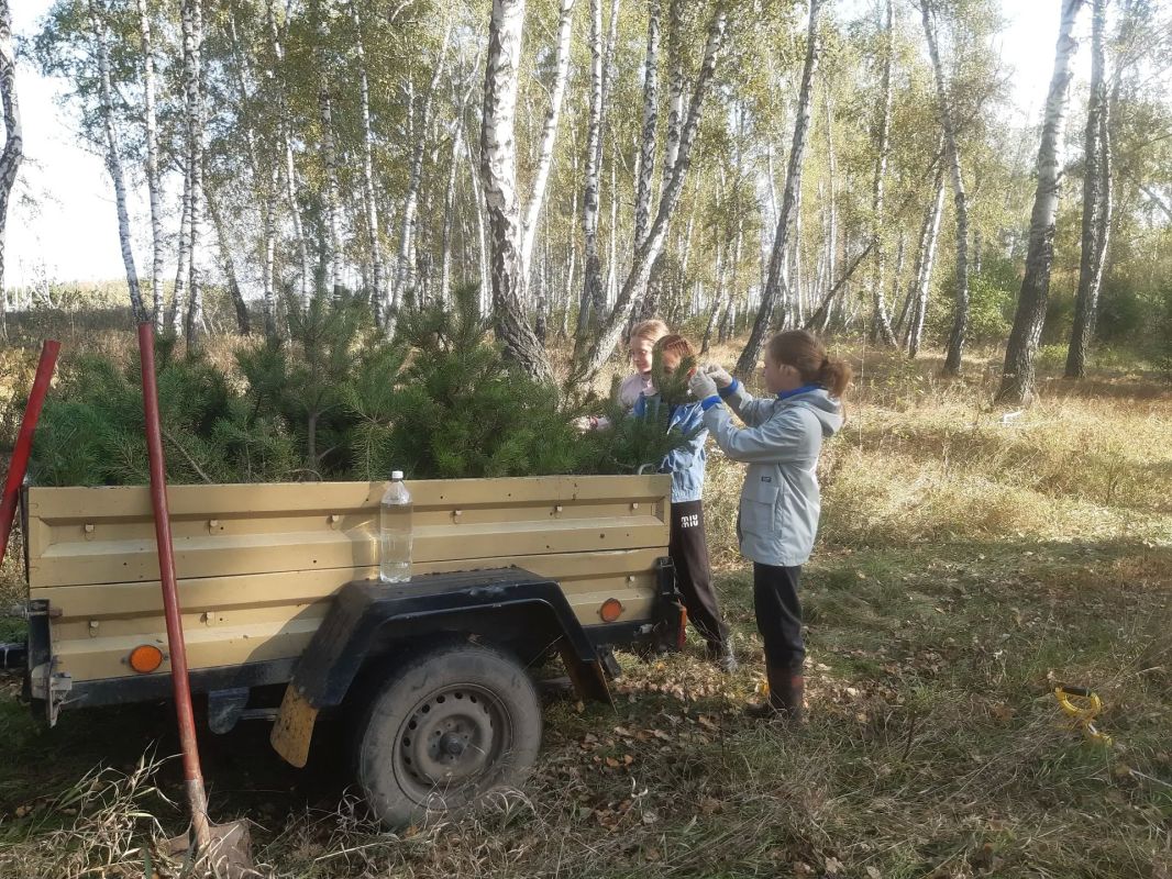 Два школьных лесничества Омской области подключились ко всероссийской акции «Сохраним лес» в поддержку национального проекта «Экологическое благополучие» Два школьных лесничества Омской области подключились ко всероссийской акции «Сохраним лес» в поддержку национального проекта «Экологическое благополучие»