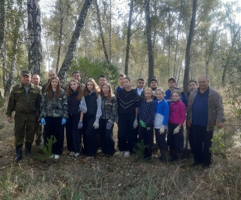 К акции #Сохранимлес подключились школьные лесничества К акции #Сохранимлес подключились школьные лесничества