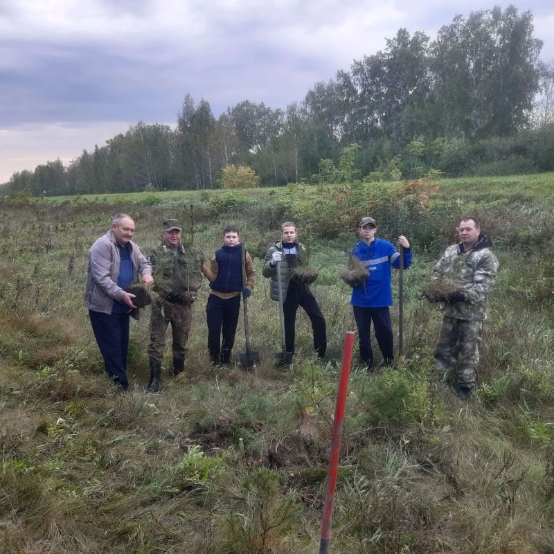 К акции #Сохранимлес подключились школьные лесничества К акции #Сохранимлес подключились школьные лесничества