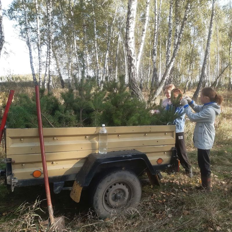 К акции #Сохранимлес подключились школьные лесничества К акции #Сохранимлес подключились школьные лесничества