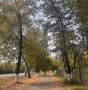 Доброе утро, омичи! . Пусть это воскресенье начнётся без спешки: с тишины, чашки любимого напитка и мыслей о том, что сегодня не обязательно успеть всё