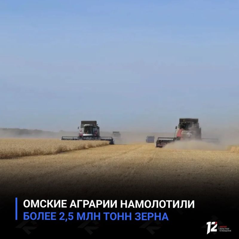 Омские аграрии намолотили более 2,5 млн тонн зерна