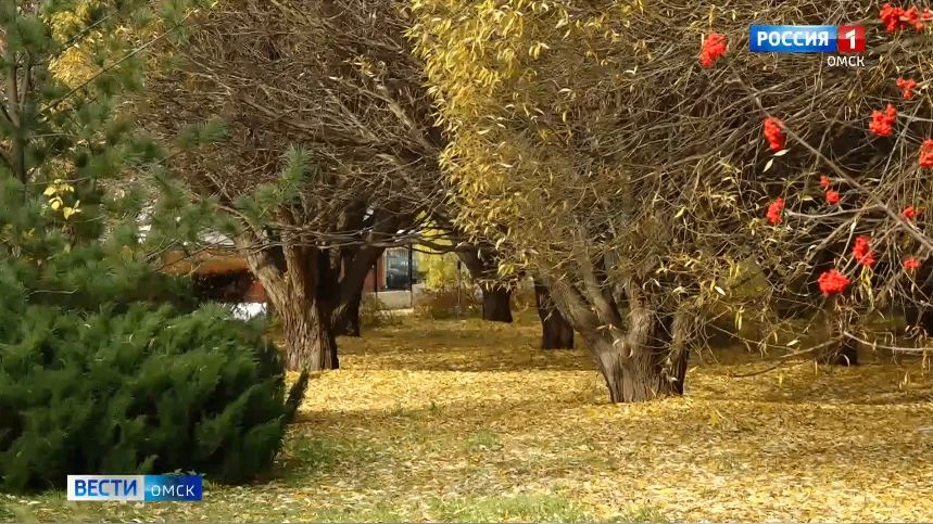 В Омскую область придет похолодание