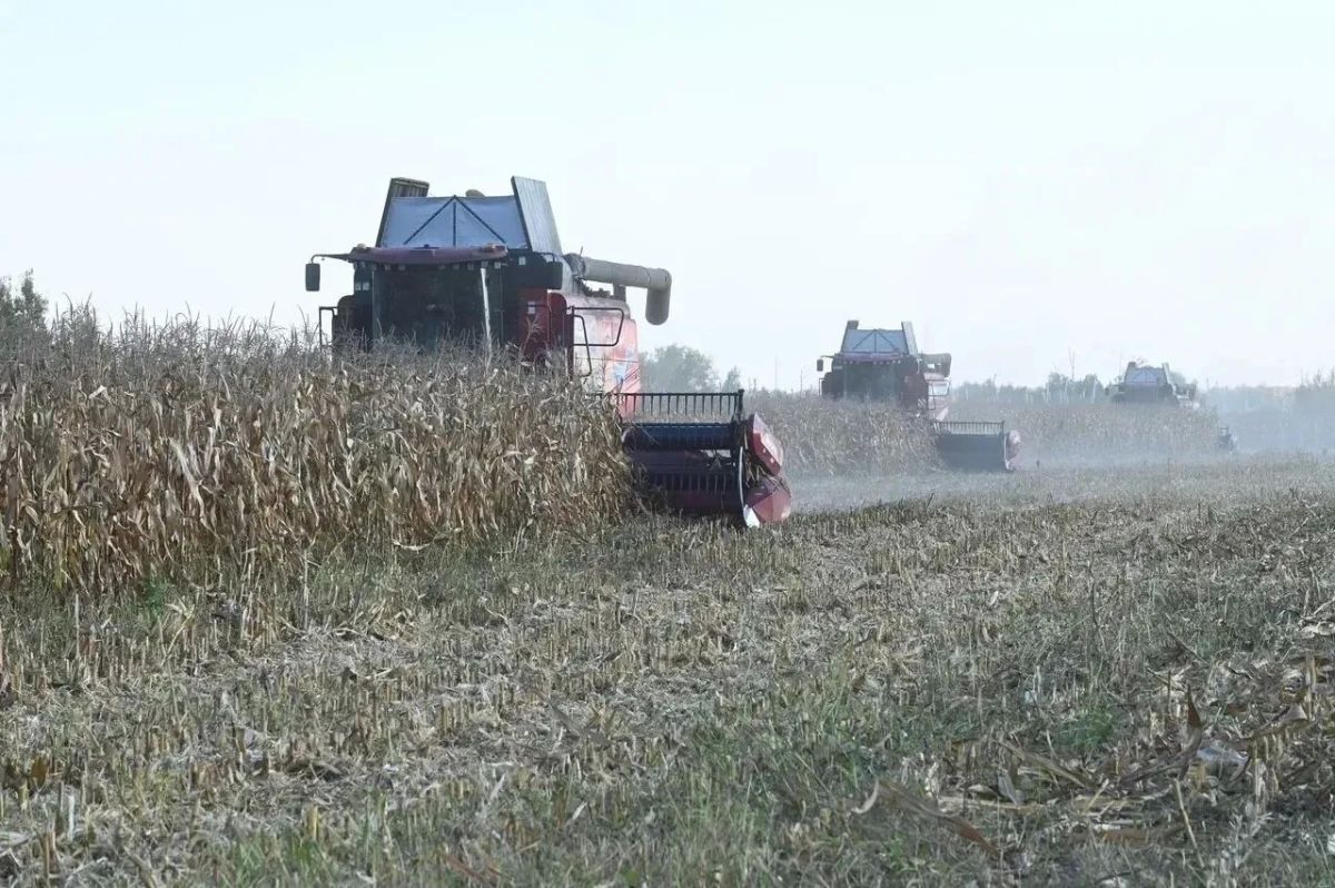 Виталий Хоценко: уборочная кампания в Омской области выходит на финальную стадию Виталий Хоценко: уборочная кампания в Омской области выходит на финальную стадию