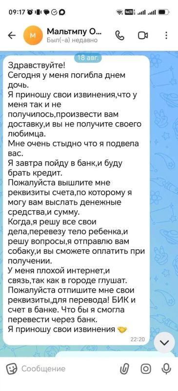 Давя на жалость смертью несуществующей дочери, омская мошенница продавала несуществующих щенят Давя на жалость смертью несуществующей дочери, омская мошенница продавала несуществующих щенят