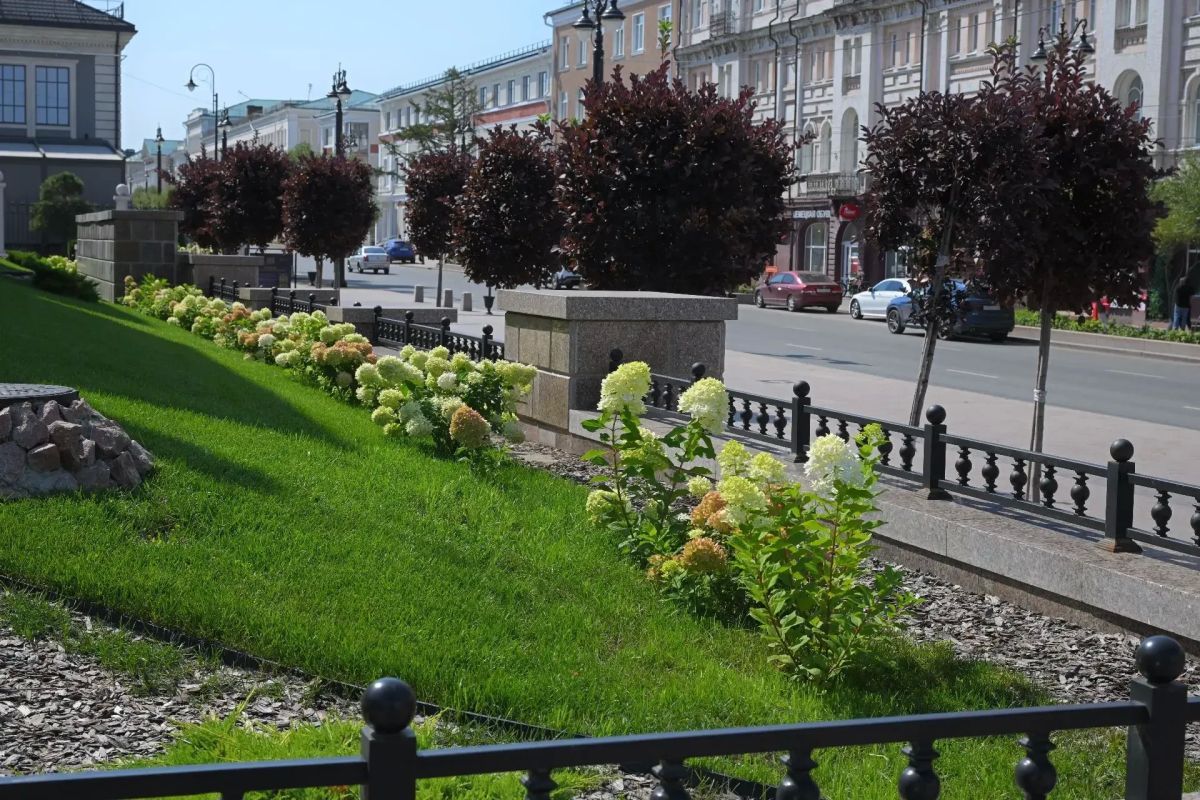 Как преобразились городские пространства в этом году в плане озеленения Как преобразились городские пространства в этом году в плане озеленения