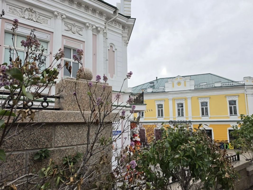Сирень решила, что осень в Омске отменяется Сирень решила, что осень в Омске отменяется