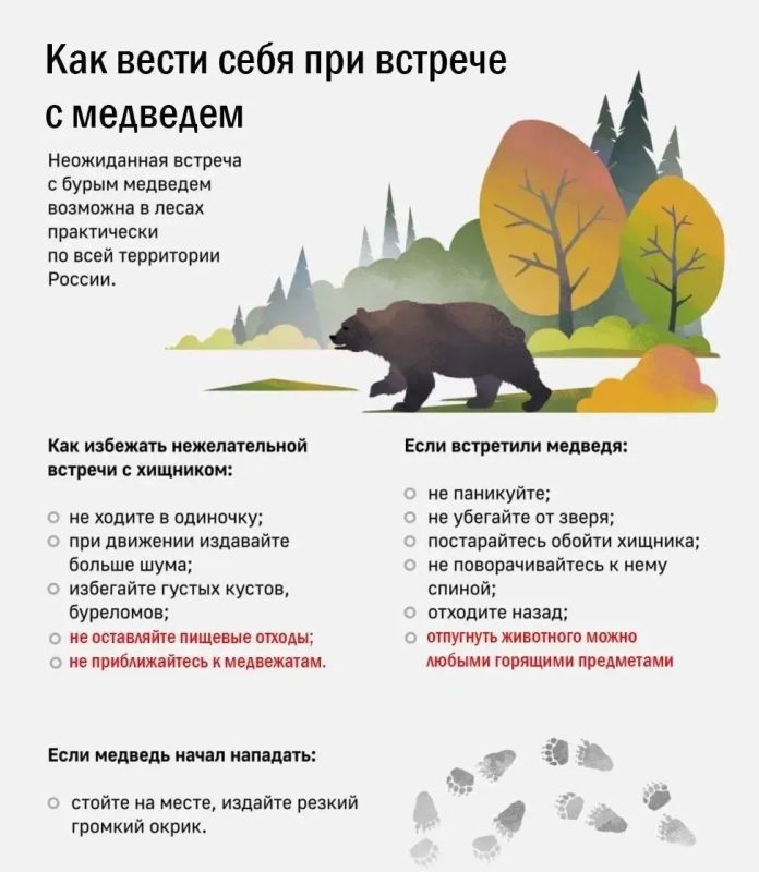 ПРАВИЛА ПОВЕДЕНИЯ ПРИ ВСТРЕЧЕ С МЕДВЕДЕМ