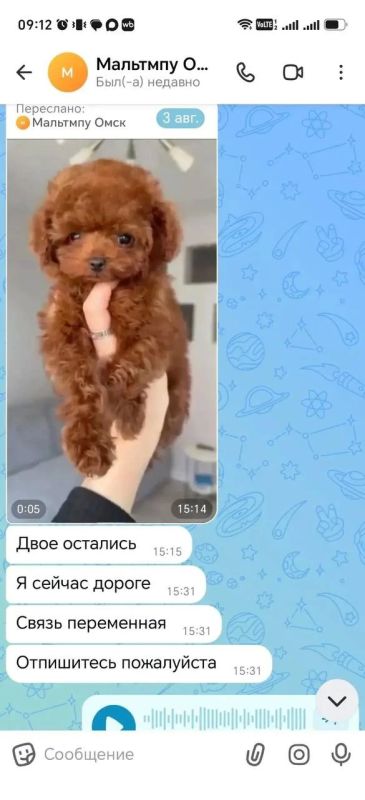 Давя на жалость смертью несуществующей дочери, омская мошенница продавала несуществующих щенят